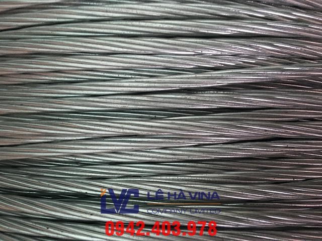Lê Hà Vina, Cáp BTS, Cáp cứng viễn thông, Sợi thép, Công ty Viễn Thông Tây Nguyên, Công ty Viễn thông