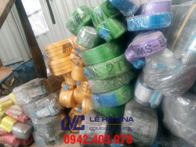 Lê Ha Vina, Sợ dây chằng, Sợi dây chằng hàng, Công ty TPR, Dây chằng